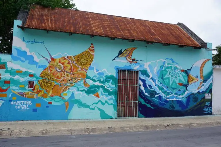 Seawalls Cozumel 2019