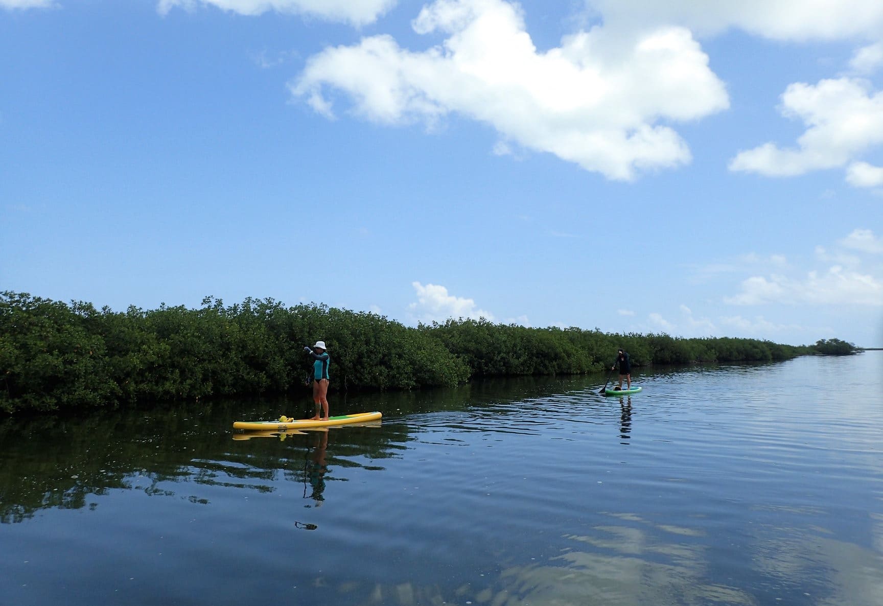SUP paddlers in calm mangrove waters of Cozumel Mexico.