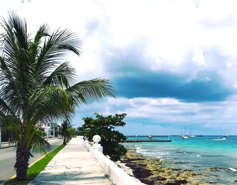 Cozumel waterfront esplanade with cloudy sky and palm tree