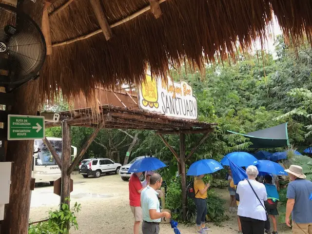 Small group touring Cozumel Bee Sanctuary with umbrellas