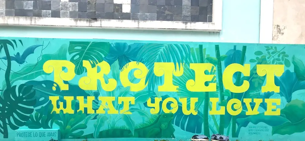 Seawalls mural depicting key phrase "protect what you love"