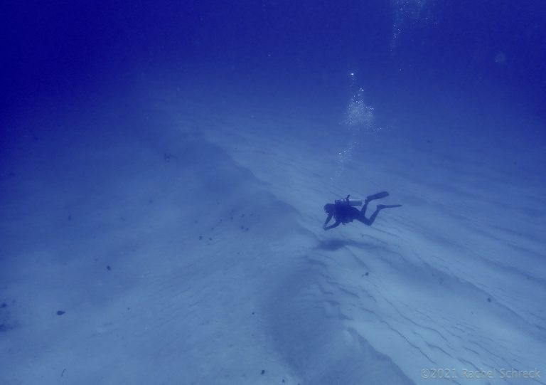 diver on vast whit sandy bottom in Cozumel