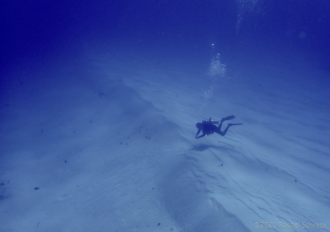 diver on vast whit sandy bottom in Cozumel