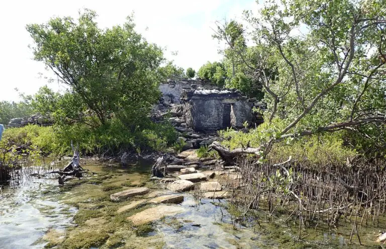 Mayan ruins site in Cozumel's Norther mangroves