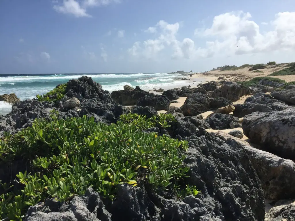 Great shot of rugged east side beach of cozumel with turquiose water, sunny skies, and more white-capped waves. 