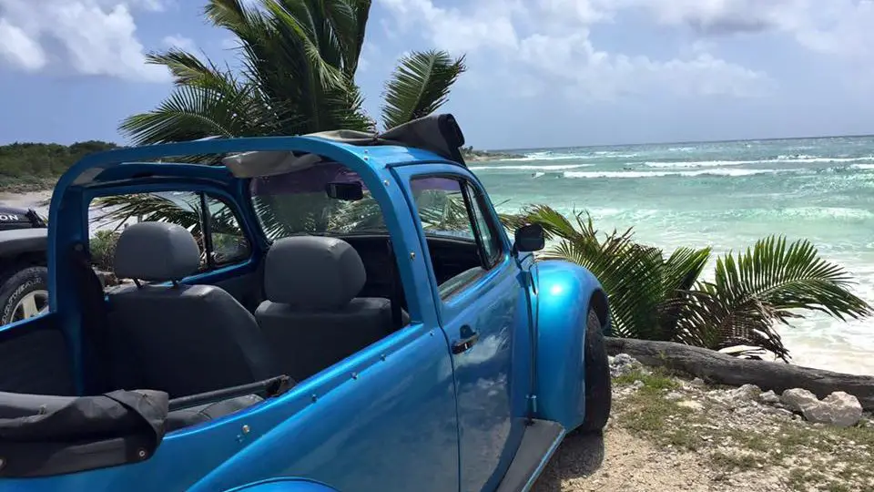 Convertible VW beetle on windy caribbean shoreline.