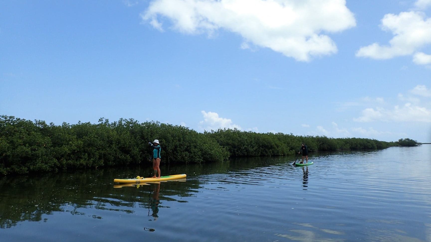 SUP tour of Northern Cozumel mangroves run by DeLille Sports in downtown San Miguel de Cozumel
