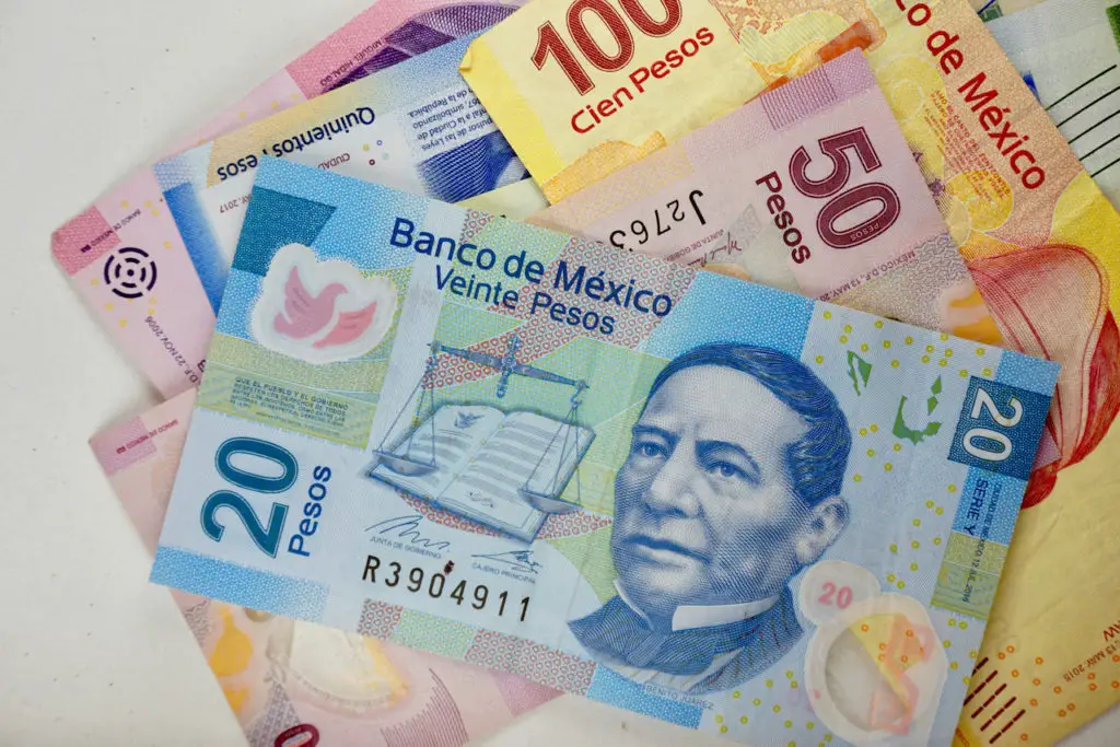 Common $MXN bill denominations spread out on flat surface. 