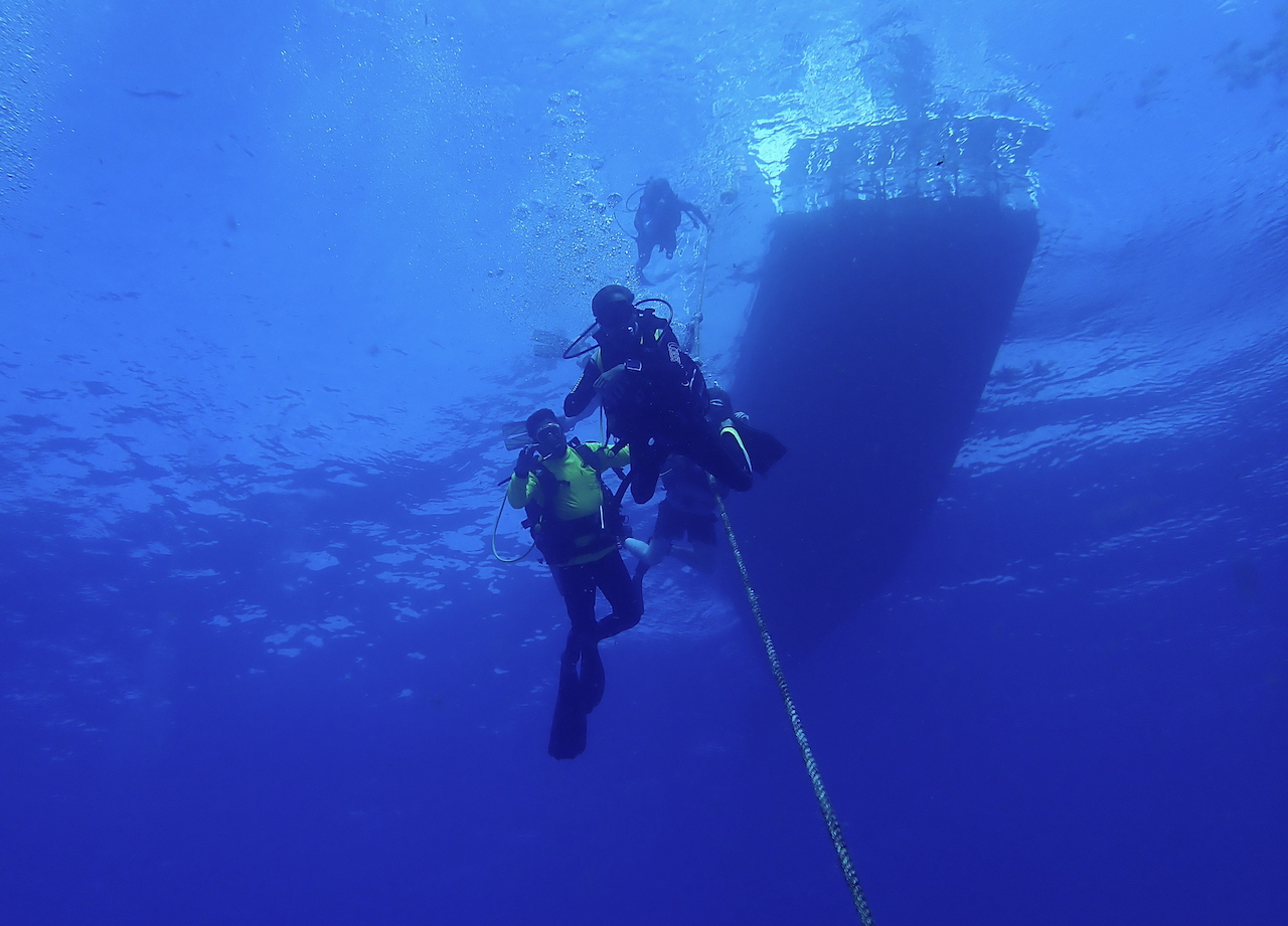 Dive group near surface doing their safety stop.