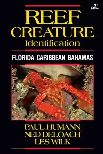 Reef Creature Identification - Florida Caribbean Bahamas