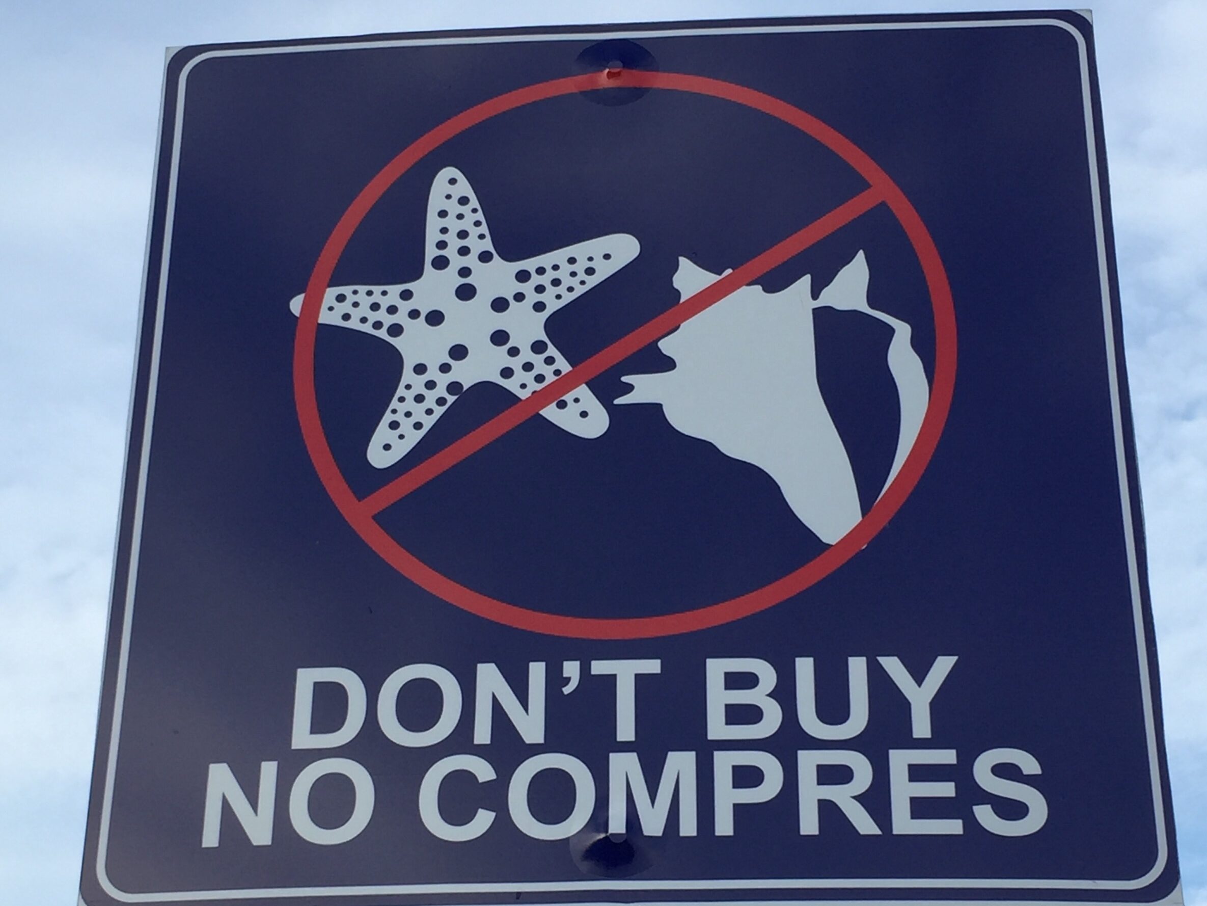 Street sign in Cozumel reminding people not to purchase souvenirs made from dead marine life like sea stars and shells.