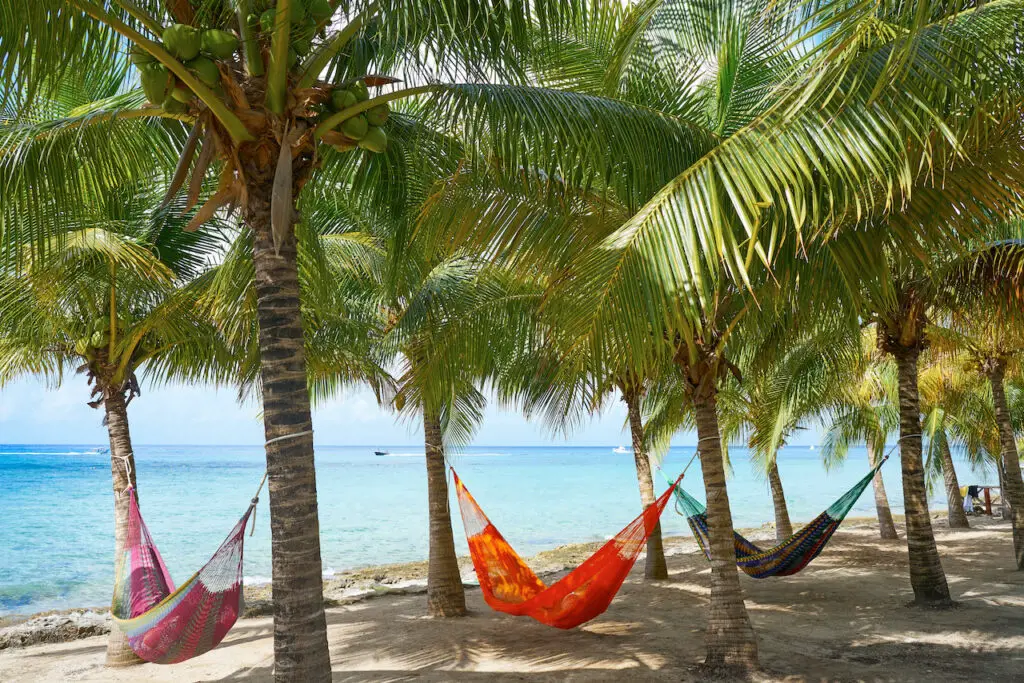 Shot of shady Cozumel beach with local hammocks hung up among palm trees, blue ocean in the background.