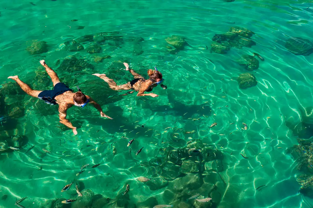 A couple swimming and snorkeling in clear water, hovering over small coral outcroppings in shallow area. 