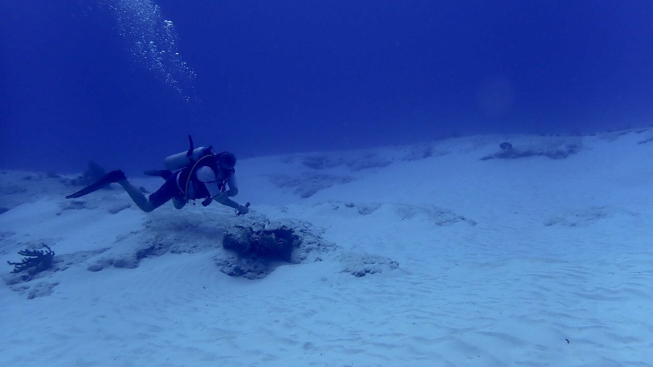 Scuba diver in Cozumel showing good buoyancy and a horizontal position in the water. 
